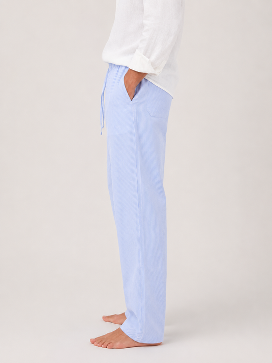 Blue Striped Pants